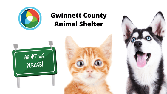 Gwinnett Animal Shelter