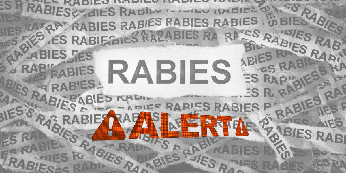 Rabies_Alert